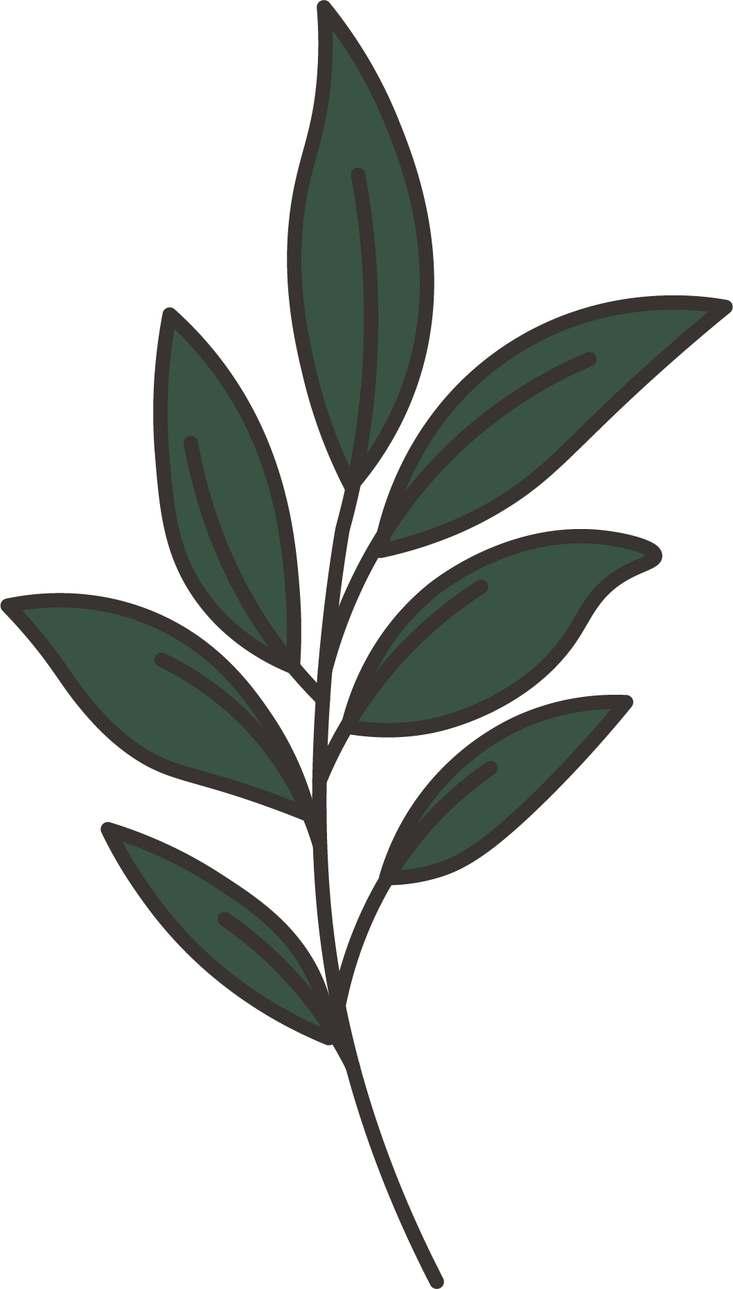 leaf